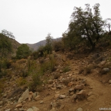 02 Acceso a la Quebrada Las Gualtatas