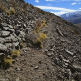 05 Camino del Inca a 2.500msnm
